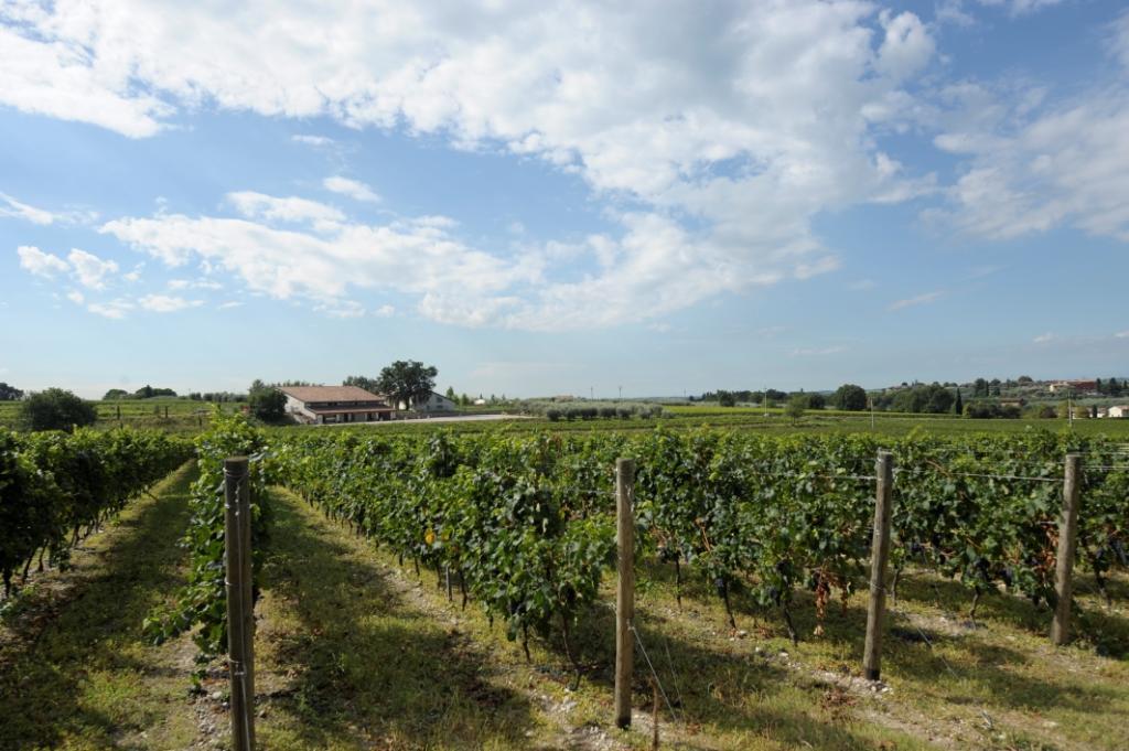 Tenuta La Ca Bardolino Exterior foto